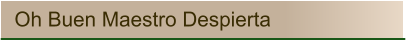 Oh Buen Maestro Despierta